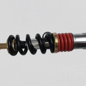 Monoshock CBF150 Invicta